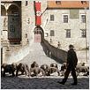 NaPolA : photo