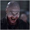 30 Days of Night : photo Andrew Stehlin, David Slade