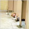 Die Eisprinzen : photo Jon Heder, Josh Gordon, Will Speck
