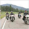 Born To Be Wild : photo John Travolta, Martin Lawrence, Tim Allen, Walt Becker, William H. Macy