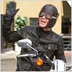 Born To Be Wild : photo Walt Becker, William H. Macy