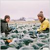 Fremde Haut : photo Anneke Kim Sarnau, Jasmin Tabatabai