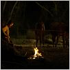There Will Be Blood : photo Daniel Day-Lewis, Paul Thomas Anderson