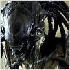 Aliens Vs. Predator 2 : photo Colin Strause, Greg Strause