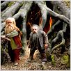 Die Chroniken von Narnia - Prinz Kaspian von Narnia : photo Andrew Adamson, Peter Dinklage, Warwick Davis