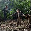 Indiana Jones und das Königreich des Kristallschädels : photo Harrison Ford, Karen Allen, Shia LaBeouf, Steven Spielberg