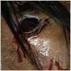 Saw 4 : photo Darren Lynn Bousman
