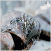 We Feed The World - Essen global : photo Erwin Wagenhofer