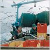 We Feed The World - Essen global : photo Erwin Wagenhofer