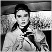 Frühstück bei Tiffany : photo Audrey Hepburn, Blake Edwards