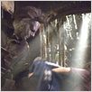 Halloween : photo Rob Zombie