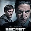 Secret Defense : poster Philippe Haim