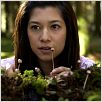Shrooms : photo Maya Hazen, Paddy Breathnach