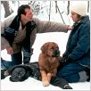 Ein einfacher Plan : photo Bill Paxton, Billy Bob Thornton, Sam Raimi
