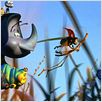 Das große Krabbeln : photo Andrew Stanton, John Lasseter