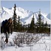 Into the Wild : photo Emile Hirsch, Sean Penn