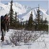 Into the Wild : photo Emile Hirsch, Sean Penn