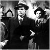 Faustrecht der Großstadt : photo Dana Andrews, Gene Tierney, Otto Preminger