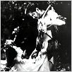 Rashomon : photo