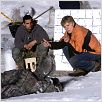 Von Löwen und Lämmern : photo Michael Peña, Robert Redford