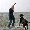Jagdhunde : photo Ann-Kristin Reyels, Constantin Von Jascheroff