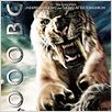 10.000 BC : poster Roland Emmerich, Steven Strait