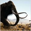 10.000 BC : photo Roland Emmerich
