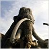 10.000 BC : photo Roland Emmerich