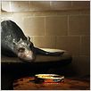 Mein Freund, der Wasserdrache : photo Jay Russell