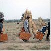 Darjeeling Limited : photo Adrien Brody, Jason Schwartzman, Owen Wilson, Wes Anderson