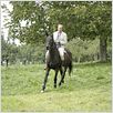 Ein fliehendes Pferd : photo