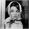 Charade : photo Audrey Hepburn, Stanley Donen
