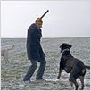 Jagdhunde : photo