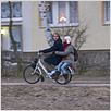Jagdhunde : photo