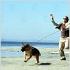 Mein Partner mit der kalten Schnauze : photo James Belushi, Rod Daniel