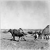 Der Schwarze Falke : photo John Ford