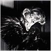 Die Vögel : photo Alfred Hitchcock, Tippi Hedren
