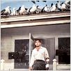 Die Vögel : photo Alfred Hitchcock, Rod Taylor