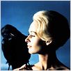 Die Vögel : photo Alfred Hitchcock, Tippi Hedren