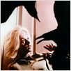 Die Vögel : photo Alfred Hitchcock, Tippi Hedren