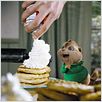 Alvin und die Chipmunks : photo Tim Hill