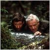 Auf Messers Schneide : photo Alec Baldwin, Anthony Hopkins, Lee Tamahori
