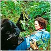 Gorillas im Nebel : photo Michael Apted, Sigourney Weaver
