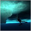 The Wild Blue Yonder : photo