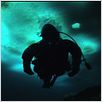 The Wild Blue Yonder : photo
