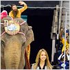 Der Love Guru : photo Jessica Alba, Marco Schnabel, Mike Myers