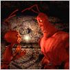 Antz – Was krabbelt da? : photo Eric Darnell