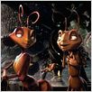 Antz – Was krabbelt da? : photo Eric Darnell
