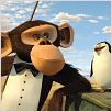Madagascar 2 : photo Eric Darnell