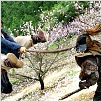 Forbidden Kingdom : photo Jackie Chan, Rob Minkoff
